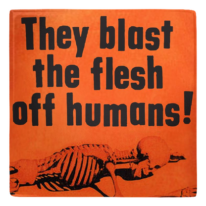 RAYGUN Teenagers From Outer Space Metal Magnets