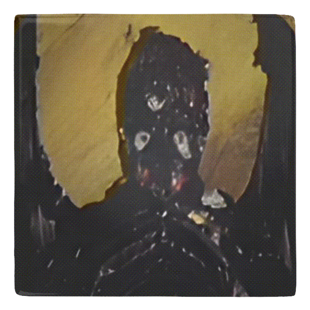 RAYGUN Zontar Metal Magnets