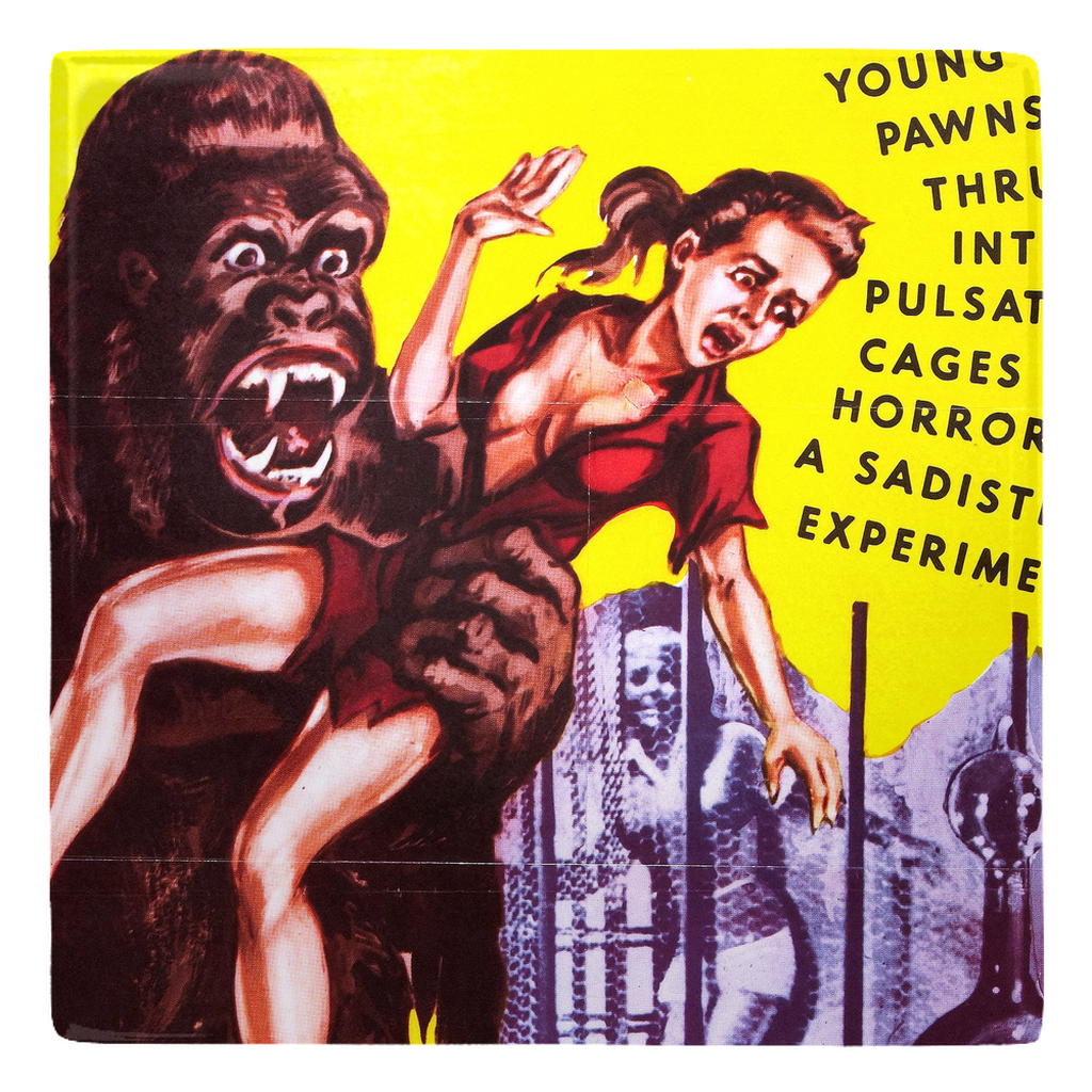 RAYGUN Teenage Zombies Metal Magnets